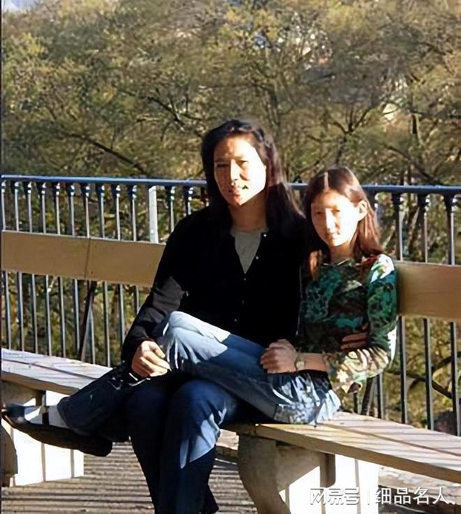 女排杨晓君的丈夫_杨晓君 中国女排三连冠 老女排队员