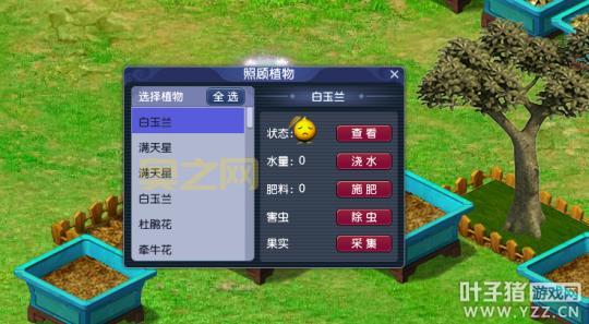 梦幻养花指南：从种子选择到庭院美化全攻略