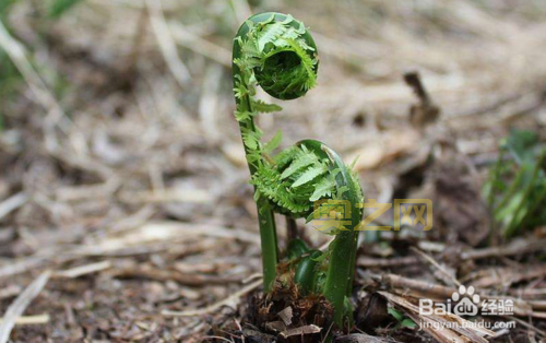 术士马任务最后一步攻略分享，看完就会做！