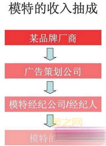 揭秘“什么什么什么目”的含义与用法详解