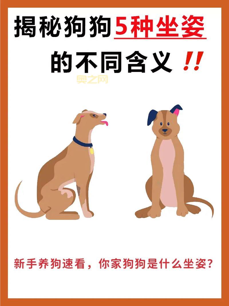 揭秘“什么什么什么目”的含义与用法详解