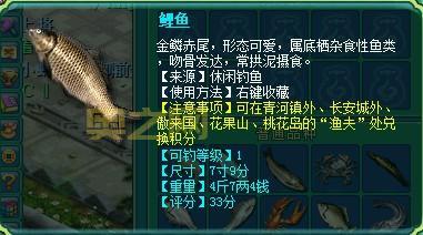 新手必看!神武钓鱼技巧分享及最佳钓鱼地点推荐