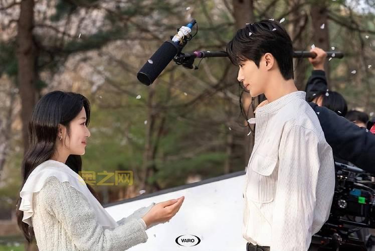 梦之队:一场精彩纷呈的日剧之旅,深度解析剧情与演员