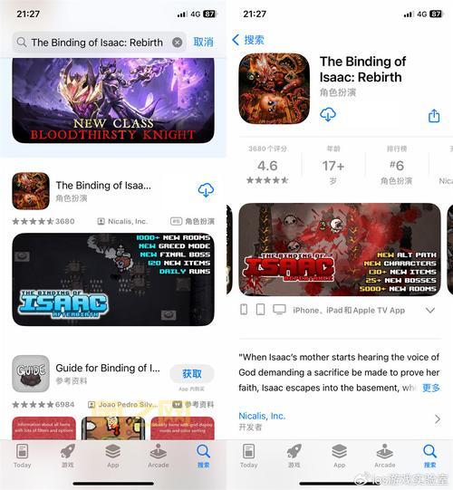 以撒的结合：重生重制版玩法攻略与技巧分享