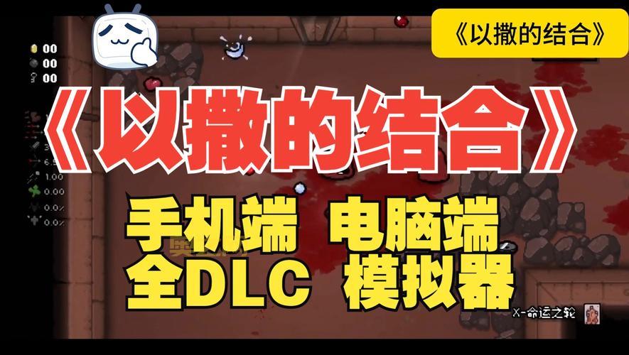 以撒的结合：重生重制版玩法攻略与技巧分享