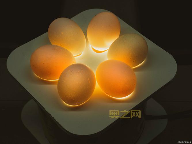 机器人笔记：揭开未来科技的神秘面纱