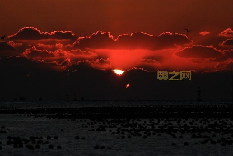 反恐行动红色利剑攻略:如何在拆弹与狩猎模式中制胜