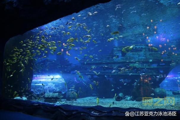 探索未知海域！海洋时代2开启策略新篇章