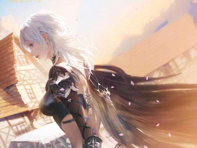 罗奇英雄传新手指南：快速掌握副本与战斗技巧