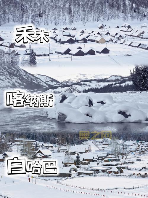 天涯明月——探索前朝血脉之谜，开启浪漫冒险之旅