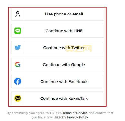 抖音国际版的使用指南：轻松下载与体验