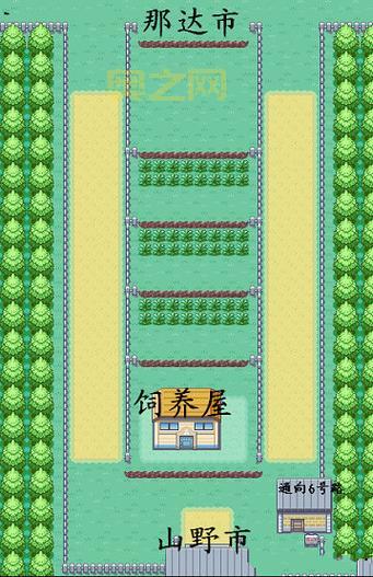 口袋妖怪叶绿攻略:从新手到大师的全面攻略