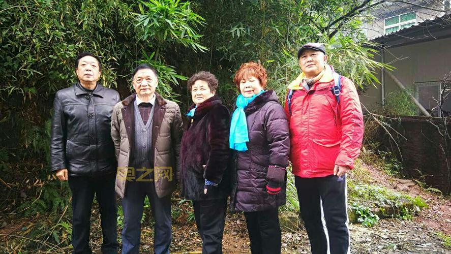 微群是什么?了解微群的功能与优势