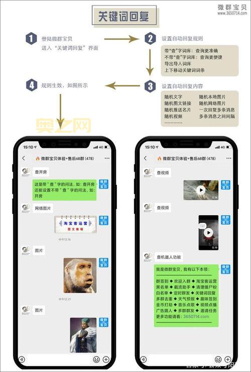 微群是什么?了解微群的功能与优势