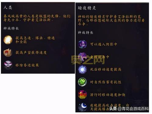暗夜精灵攻略指南：全面解读魔兽世界中的核心角色