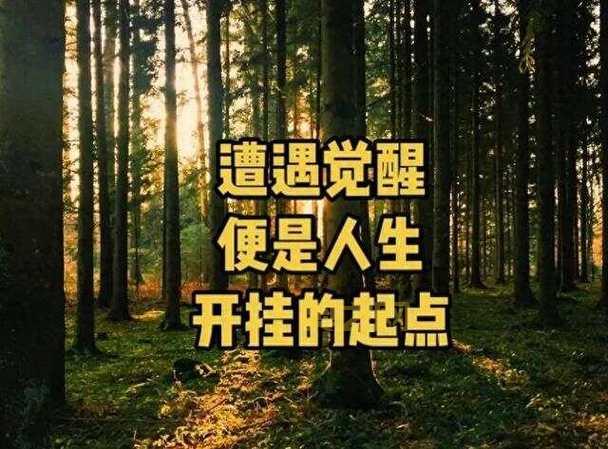 深入解析体化：通过行动改变他人的力量