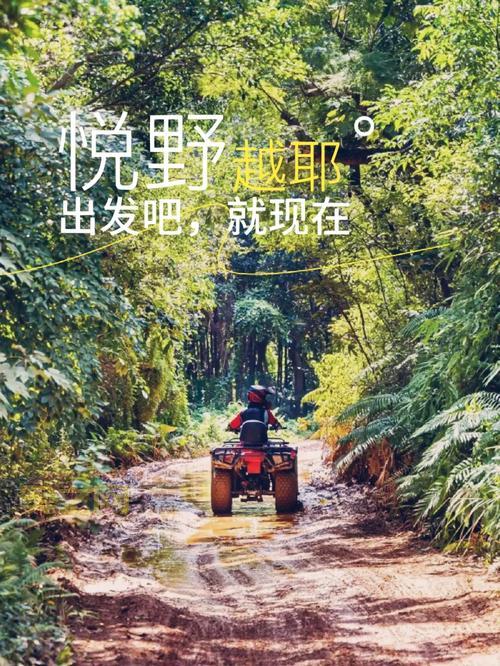 为什么撞得越快越想叫