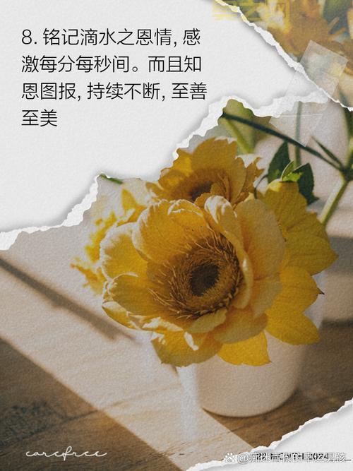 滴水之恩下一句是什么？深入解读中国古训