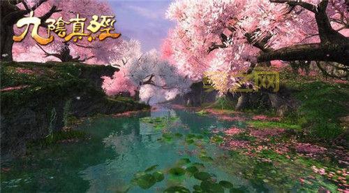 桃花岛奇遇：探索九阴真经的世外桃源