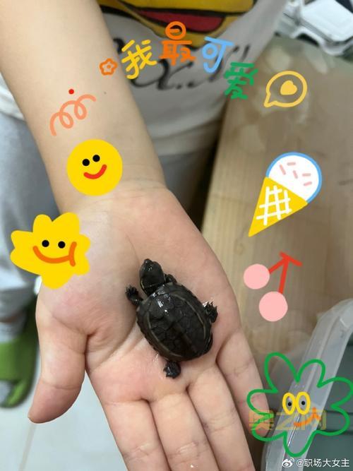 洛克王国雪云幽灵图鉴属性介绍，幽灵系最萌宠物推荐