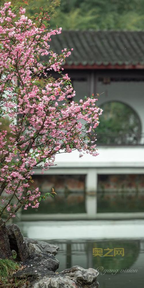 想知道2021海棠线上文学城官网？详细攻略来了！