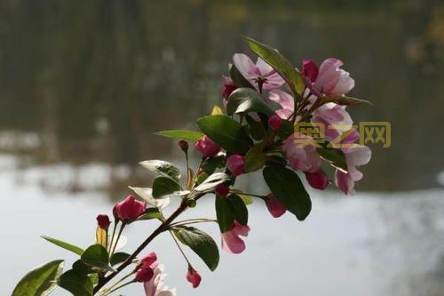 想知道2021海棠线上文学城官网？详细攻略来了！