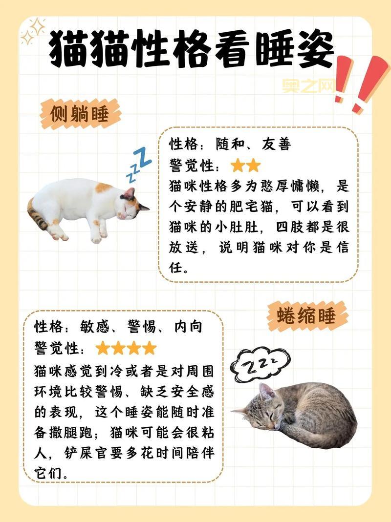 养猫必知：猫咪的生活习性与性格特点