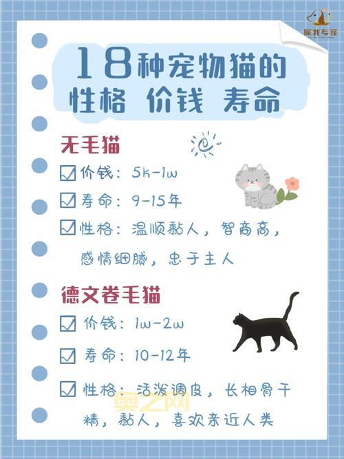 养猫必知：猫咪的生活习性与性格特点