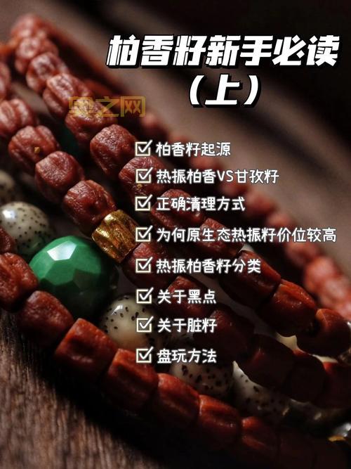 新手必看：种子怎么用，详细操作指南