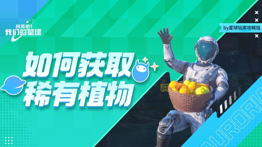 新手必看：种子怎么用，详细操作指南