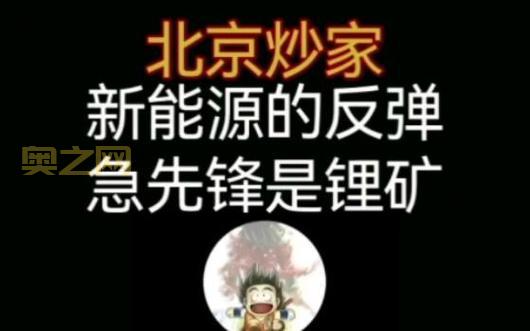 探索先锋资源：多姆锂矿项目进展与市场影响