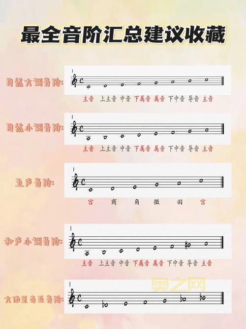 7音阶是什么？这篇文章让你彻底搞懂7音阶！