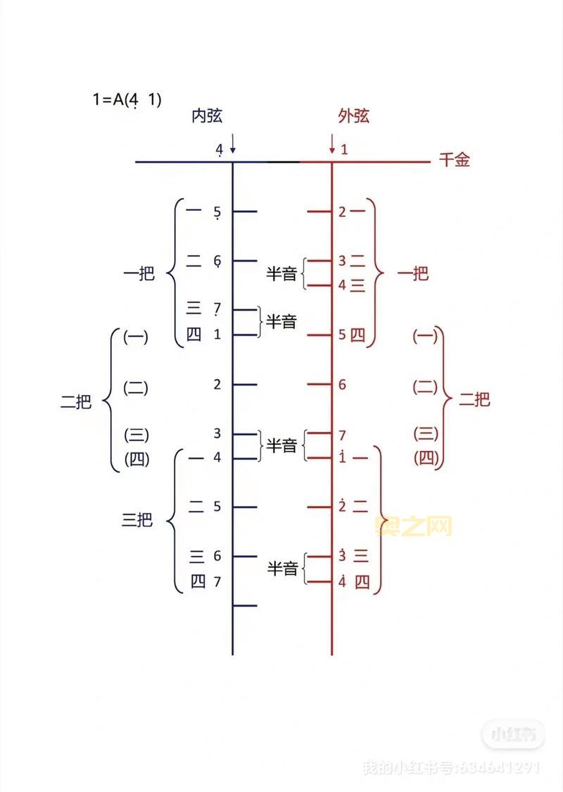 7音阶是什么？这篇文章让你彻底搞懂7音阶！