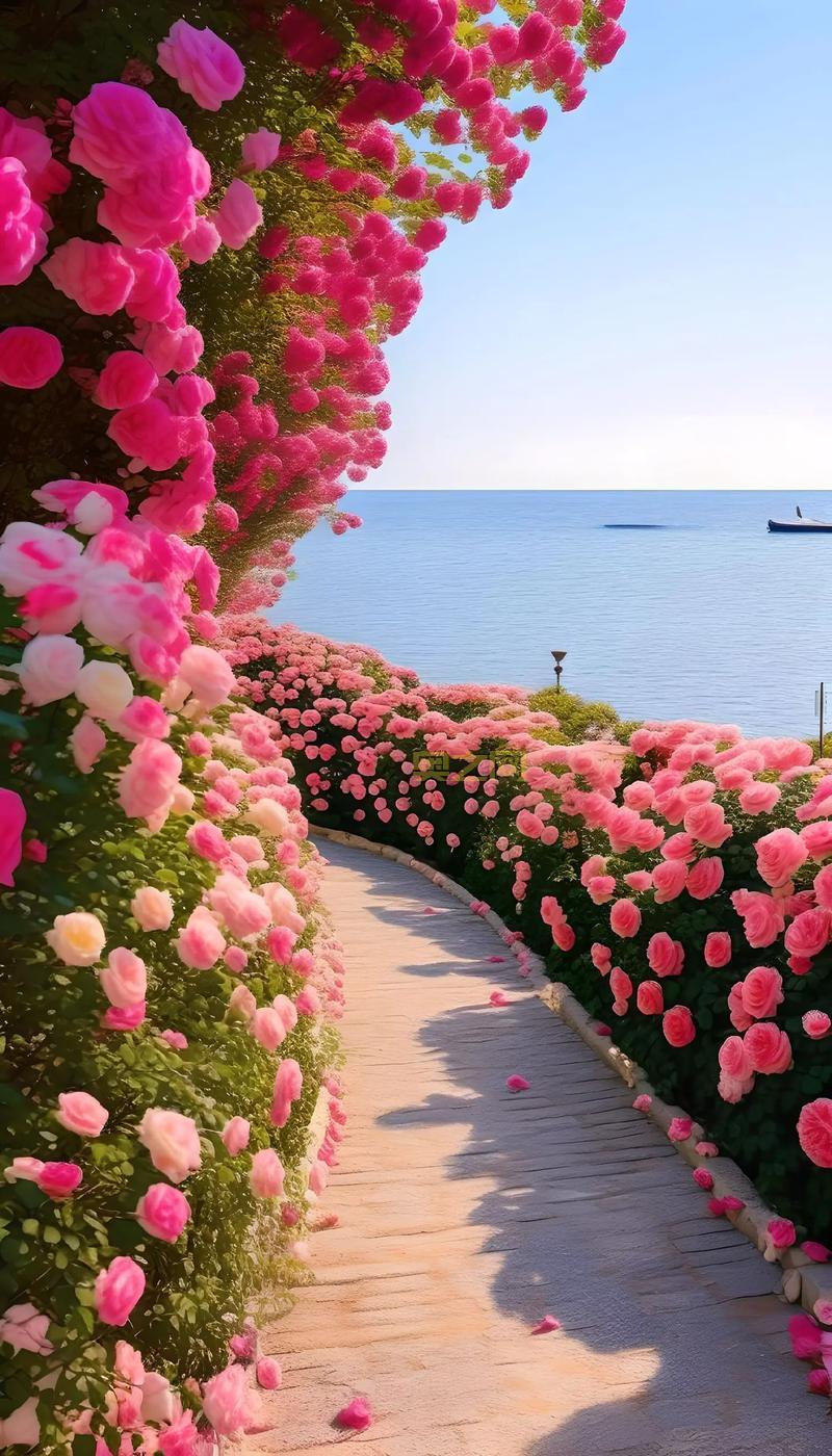 浪漫玫瑰园网址是啥？点这里进入浪漫鲜花世界！