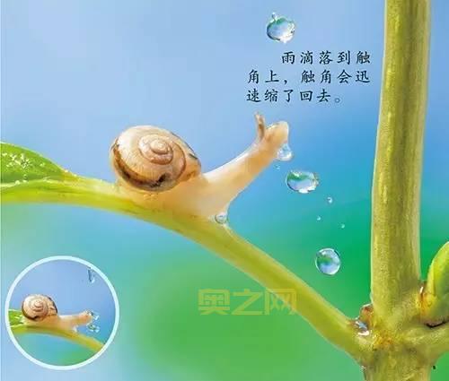 坚韧的触须如何工作？一文详解它的神奇之处！