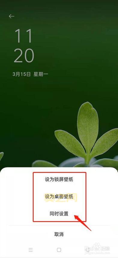 psp壁纸怎么设置？老玩家手把手教你搞定！