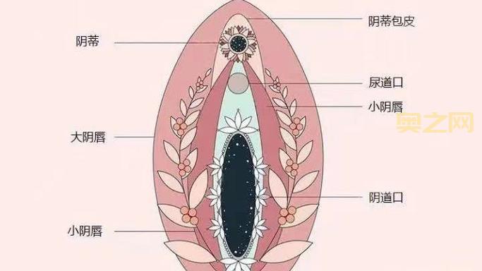 可以调节女生部位的游戏怎么玩？新手入门攻略！