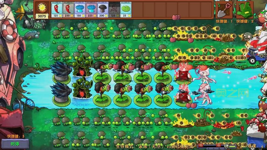 新版植物大战僵尸怎么布阵？经典阵型推荐！