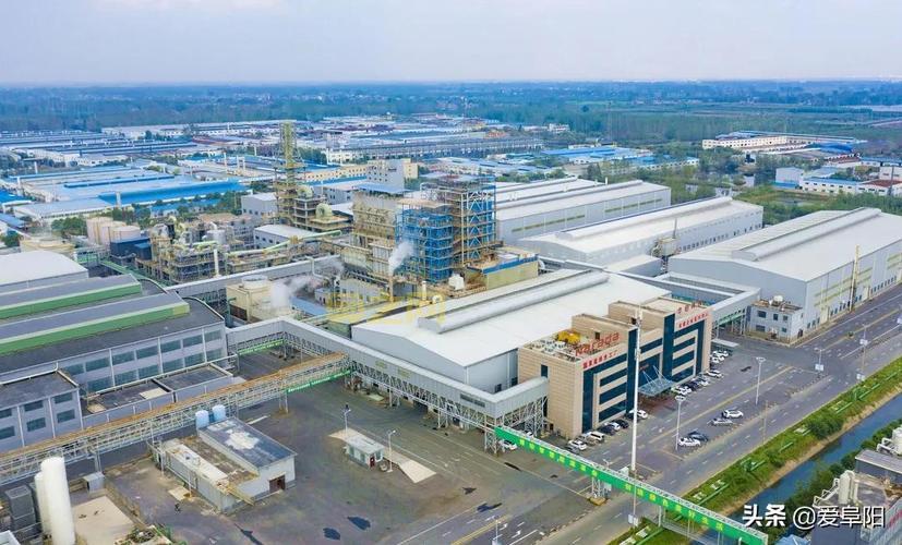 郭海洋金太阳是什么？一文带你全面了解！