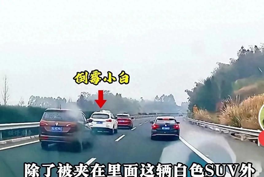 碰瓷团伙应对技巧_高速撞车党_高速碰瓷