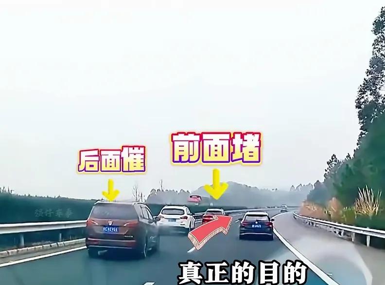 高速撞车党_高速碰瓷_碰瓷团伙应对技巧