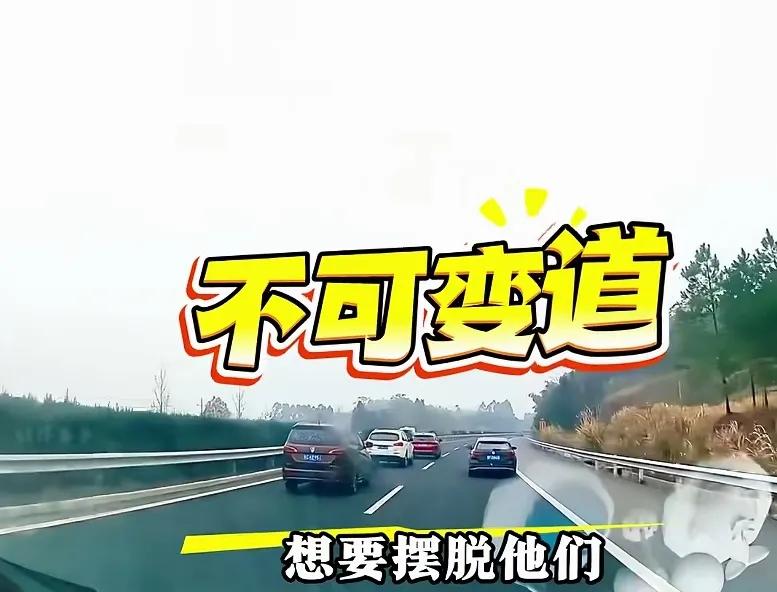 高速撞车党_碰瓷团伙应对技巧_高速碰瓷