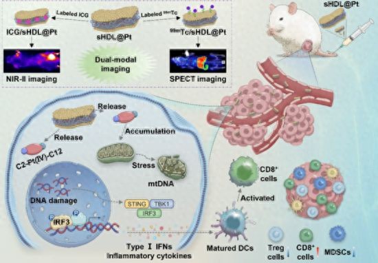 纳米药物递送_人工智能自适应放疗_医疗最新资讯
