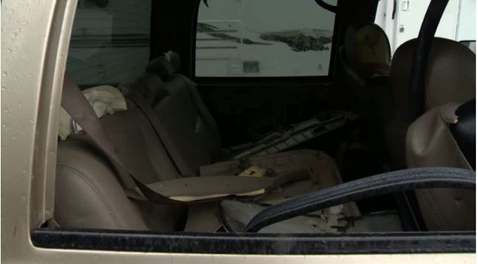 加拿大熊袭击真实案例_实拍黑熊闯进校园被警方击毙视频_加拿大灰熊袭击事件