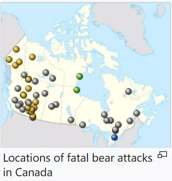加拿大熊袭击真实案例_实拍黑熊闯进校园被警方击毙视频_加拿大灰熊袭击事件