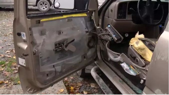 加拿大熊袭击真实案例_加拿大灰熊袭击事件_实拍黑熊闯进校园被警方击毙视频