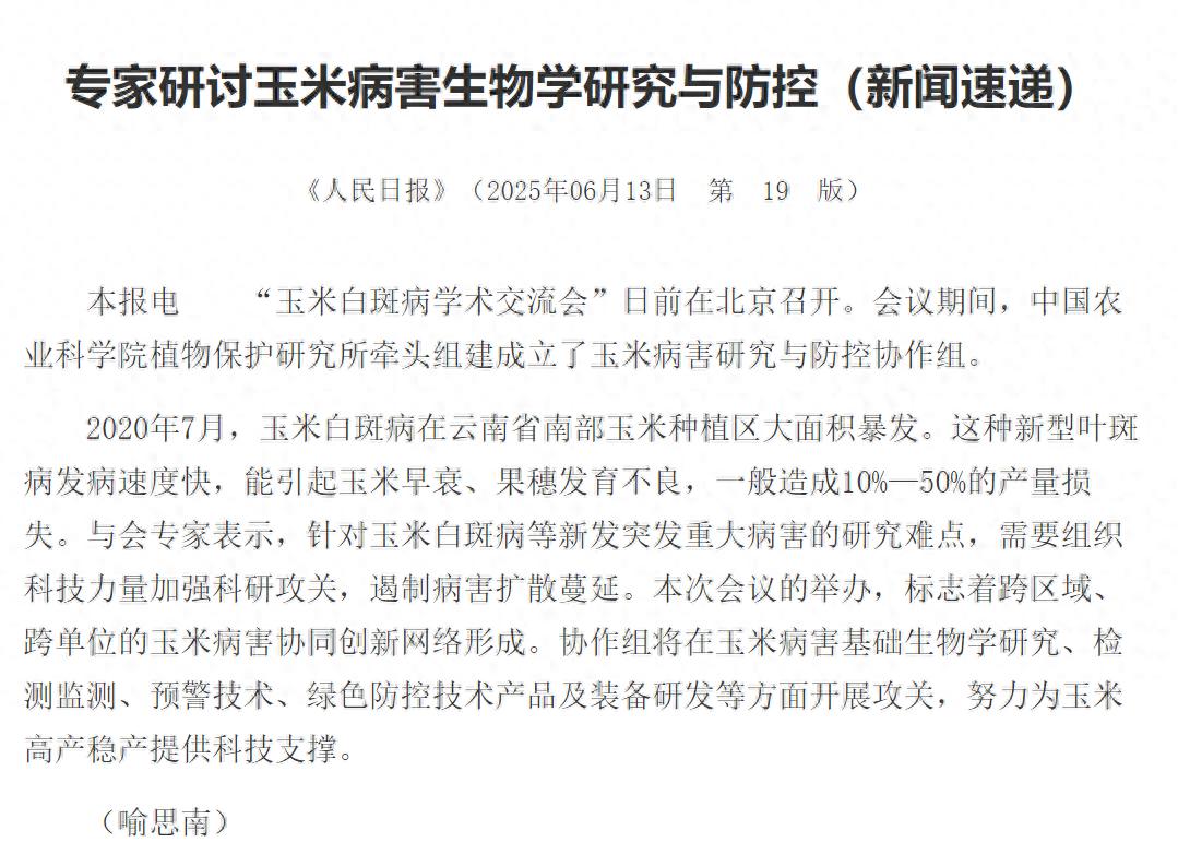 玉米病害生物学研究新闻速递范例_人民日报新闻速递写作技巧_大学校园新闻写作范文