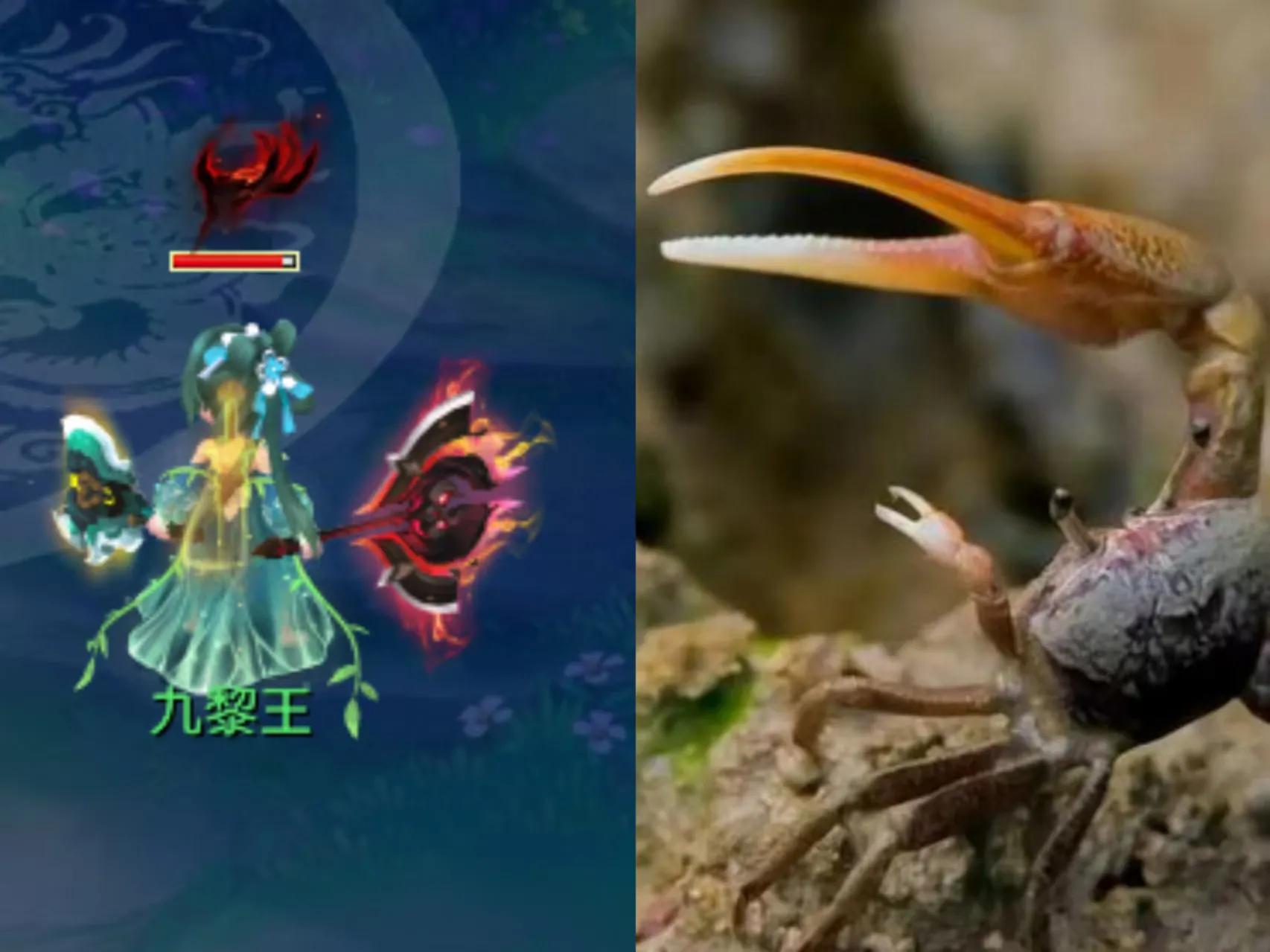 梦幻西游回门派技能_梦幻西游十月技能改革_梦幻西游策划思路变化