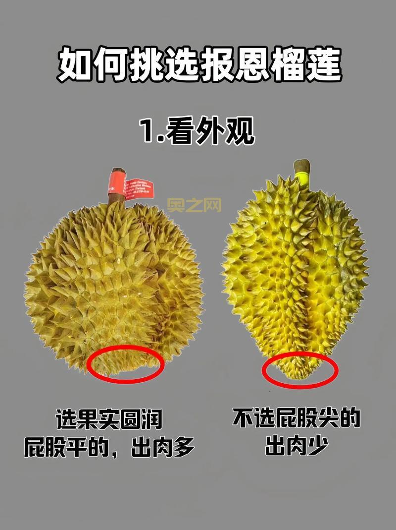 榴莲樱桃绿巨人草莓香蕉价格怎样？哪个更划算？