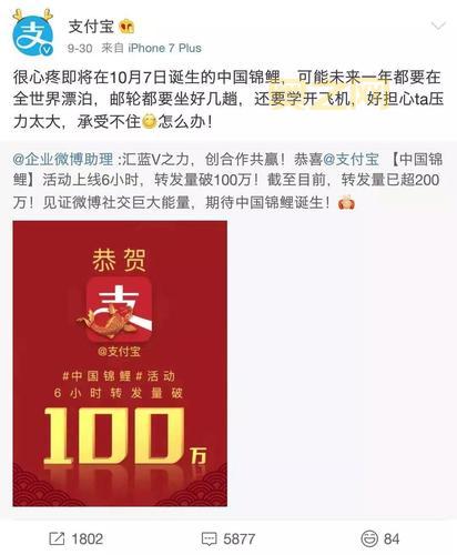 支付宝锦鲤是什么梗?中奖后能享受哪些福利?